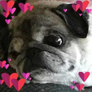 Meet your Posher, Debra